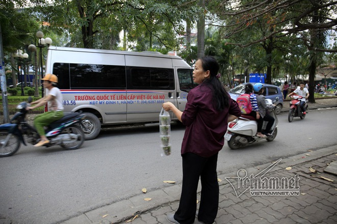 Trả vỉa hè, dân treo hàng lơ lửng cành cây kiếm sống - Ảnh 8.