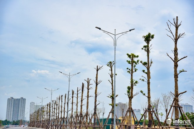 Toàn cảnh tuyến đường nghìn tỷ nối Xa La - Nguyễn Xiển sắp hoàn thành - Ảnh 9.