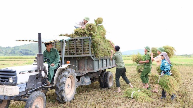 Nữ chiến sĩ công an gặt lúa giúp dân chạy ‘siêu bão’ - Ảnh 8.