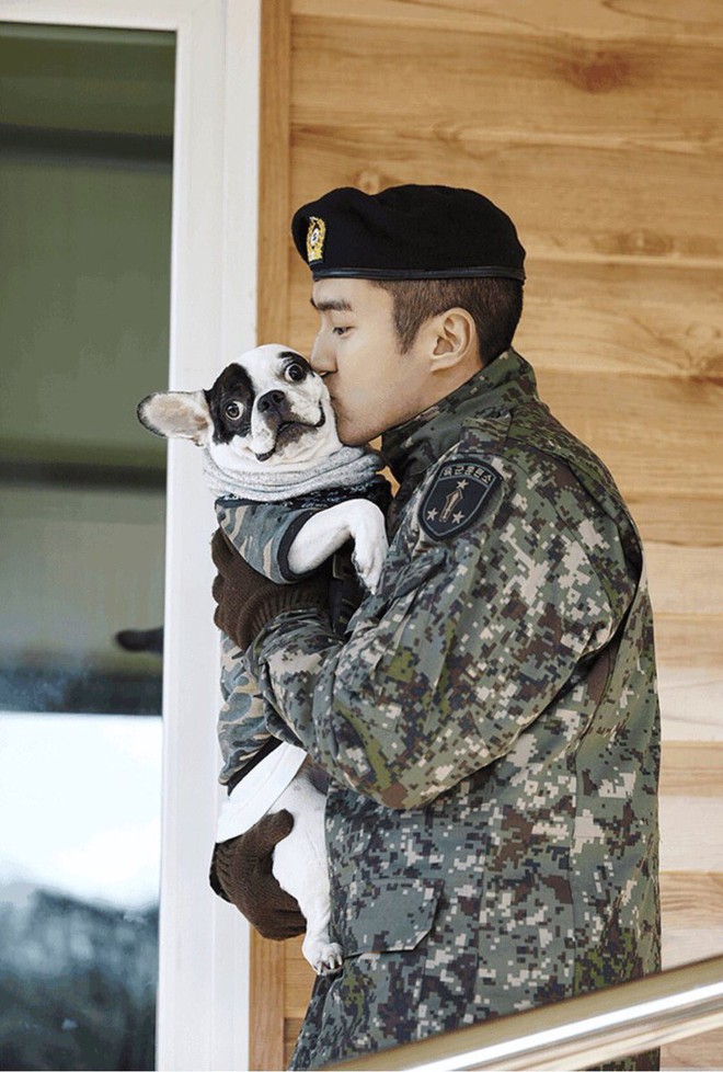 Chó cưng của Siwon được cho là gây nên vụ cắn CEO tử vong: Từng có tiền sử cắn người - Ảnh 9.