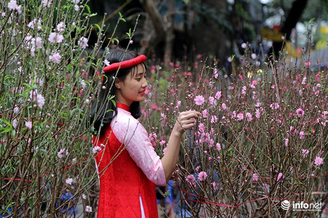 Ngắm chợ hoa lâu đời nhất của Hà Nội những ngày cuối năm - Ảnh 10.