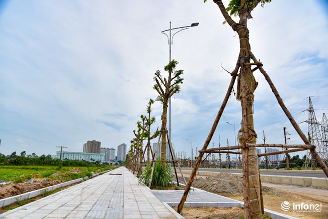Toàn cảnh tuyến đường nghìn tỷ nối Xa La - Nguyễn Xiển sắp hoàn thành - Ảnh 10.