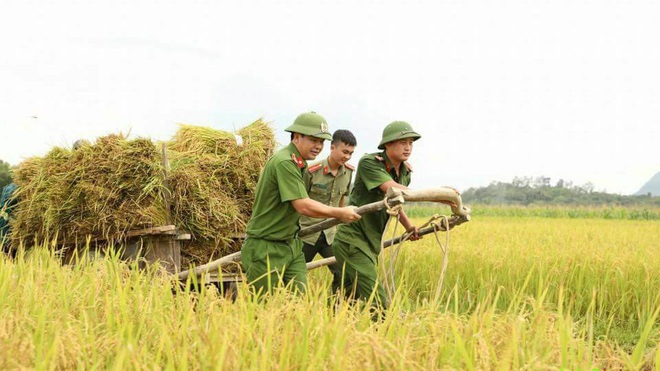 Nữ chiến sĩ công an gặt lúa giúp dân chạy ‘siêu bão’ - Ảnh 9.