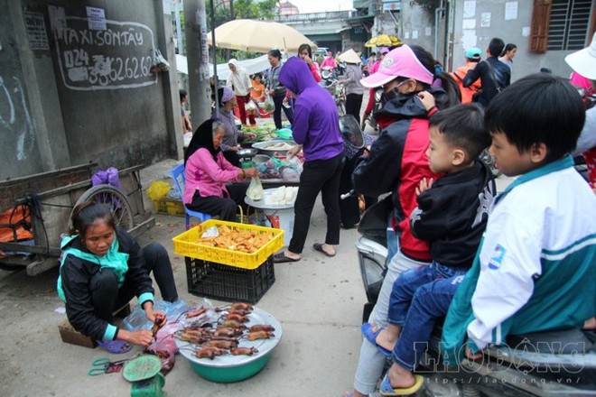 Hà Nội vào mùa thịt chuột: Người dân đổ xô đánh bẫy, kiếm tiền triệu mỗi ngày - Ảnh 10.