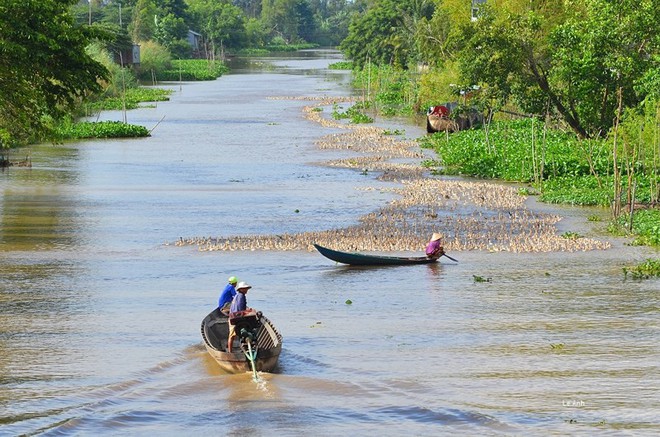 Thầy giáo dạy toán với bức ảnh ‘đàn vịt tạo hình chữ S’ - Ảnh 10.