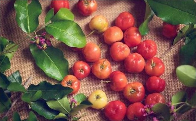 Vì sao phụ nữ Nhật và phương Tây thích ăn sơ ri Việt Nam? Vì sao phụ nữ Nhật và phương Tây thích ăn sơ ri Việt Nam?