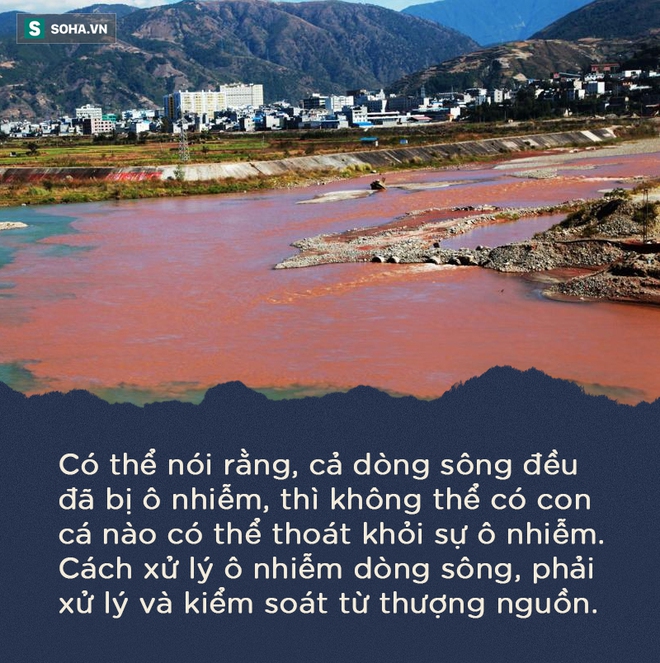 Bài phát biểu chấn động TQ: Hãy khám cho tốt chứ đừng nhìn chằm chằm vào túi bệnh nhân - Ảnh 9.