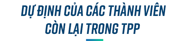 Ấn tượng APEC 6/11: 11 nước họp kín, tiến sỹ Mỹ lạc quan về tương lai TPP - Ảnh 6.