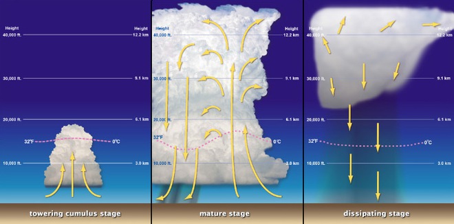 Siêu bão hung hãn nhất trong vòng 100 năm: Thủ phạm không đến từ tự nhiên? - Ảnh 10.