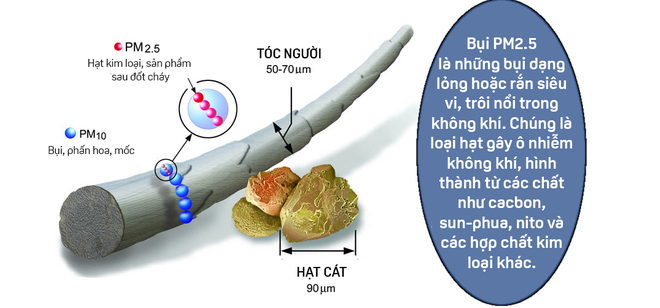 Nhỏ bằng 1/40 kích thước hạt cát, đây là sát thủ âm thầm lởn vởn trong không khí Hà Nội - Ảnh 3.