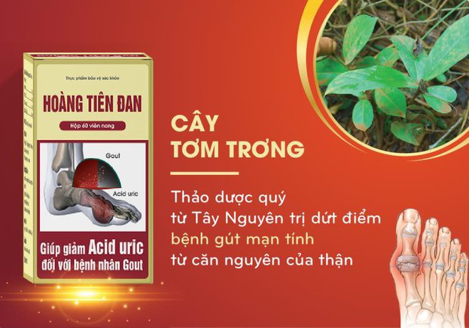 Hoàng Tiên Đan: Giải pháp hiệu quả cho người mắc gút - Ảnh 5.