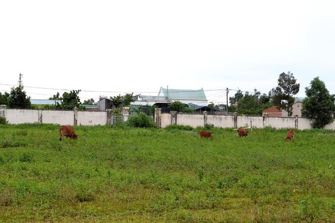 8 thanh niên xông vào bệnh viện bắt người đem đi đánh - Ảnh 1.