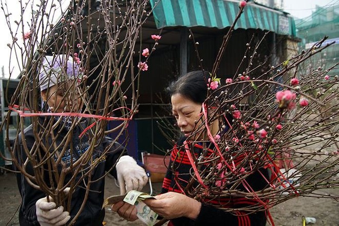 Đào Nhật Tân bung lụa đón Tết sớm ở chợ hoa Hà Nội - Ảnh 5.