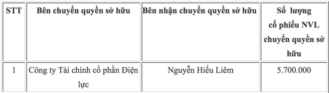 Ai đã chi gần 500 tỷ để nhận chuyển nhượng 5,7 triệu cổ phần Novaland? - Ảnh 1.