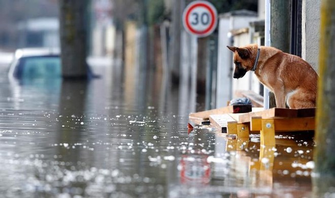 Hình ảnh dân Pháp chèo thuyền giữa đường phố Paris vì lụt lội - Ảnh 1.
