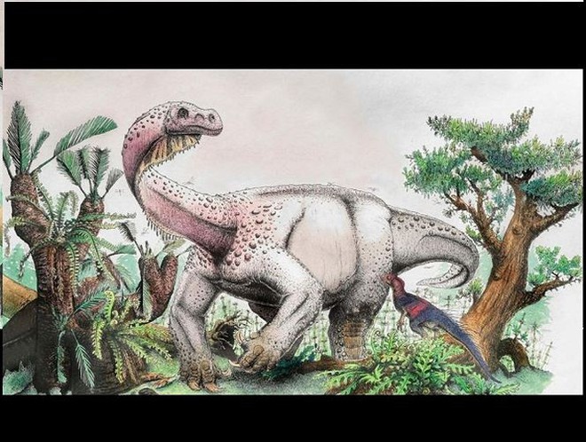 Phát hiện ra loài khủng long mới có kích thước siêu khủng   - Ảnh 1.