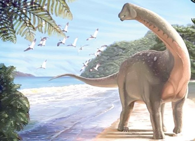 Phát hiện ra loài khủng long mới có kích thước siêu khủng   - Ảnh 3.