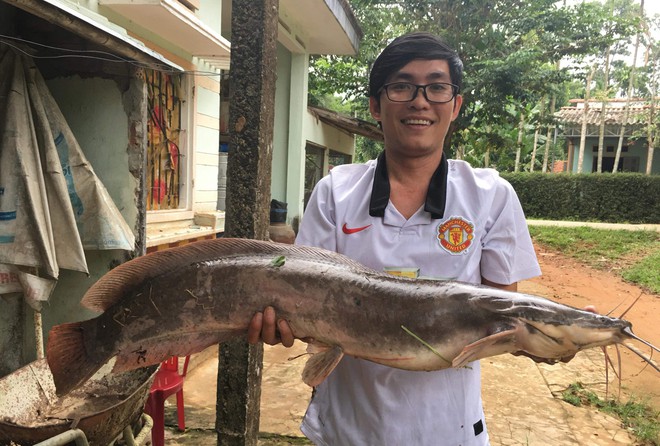 Quảng Nam: Cần thủ bắt được cá trê “khủng” dài 1 mét, nhiều người hỏi mua giá cao nhưng không bán - Ảnh 1.