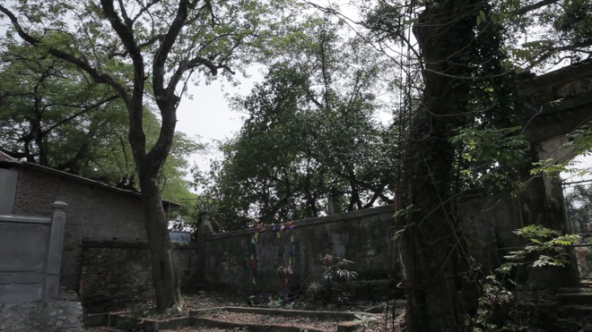 Cây sưa đỏ trăm tỷ ở Hà Nội: Vỏ ngoài sẽ bị cấu nát thành mùn, bán càng sớm càng tốt - Ảnh 6.