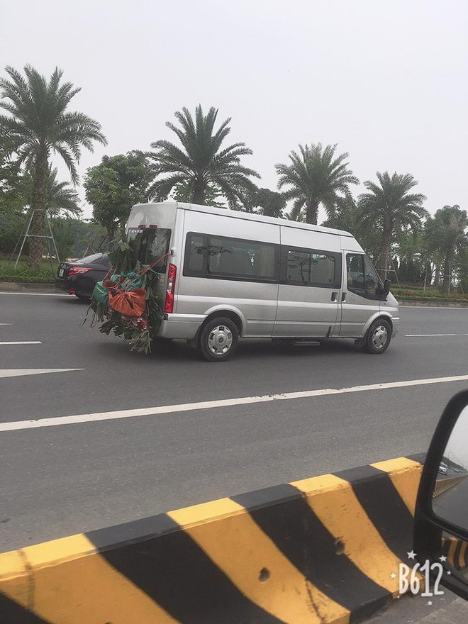 Chú vịt trắng ngóc đầu, nằm phía sau ô tô - hình ảnh hài hước gây chú ý trong ngày chủ nhật - Ảnh 2.