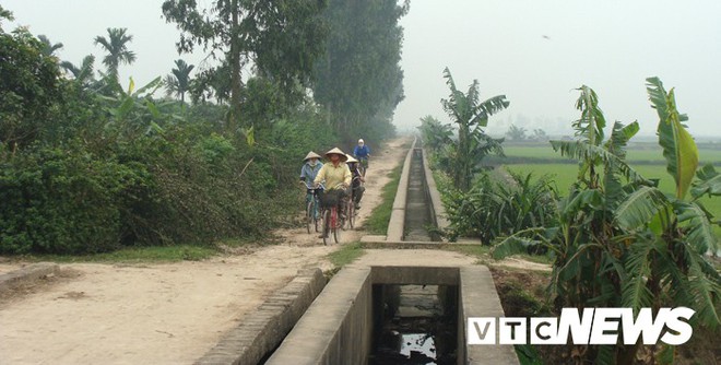 Ngôi làng ở Hưng Yên: Cứ đào xuống đất là trúng mộ thân cây vài ngàn năm tuổi - Ảnh 1.