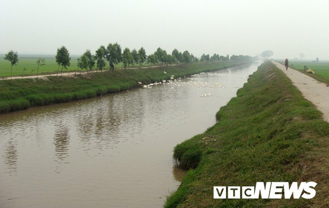 Ngôi làng ở Hưng Yên: Cứ đào xuống đất là trúng mộ thân cây vài ngàn năm tuổi - Ảnh 3.