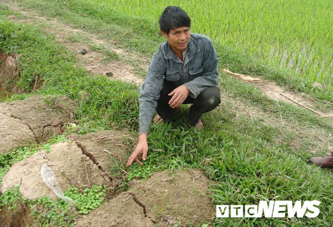 Ngôi làng ở Hưng Yên: Cứ đào xuống đất là trúng mộ thân cây vài ngàn năm tuổi - Ảnh 4.