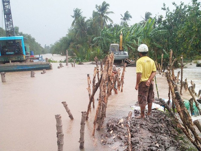 Khóc ròng vì sầu riêng đặc sản chết khô hàng loạt - Ảnh 5.