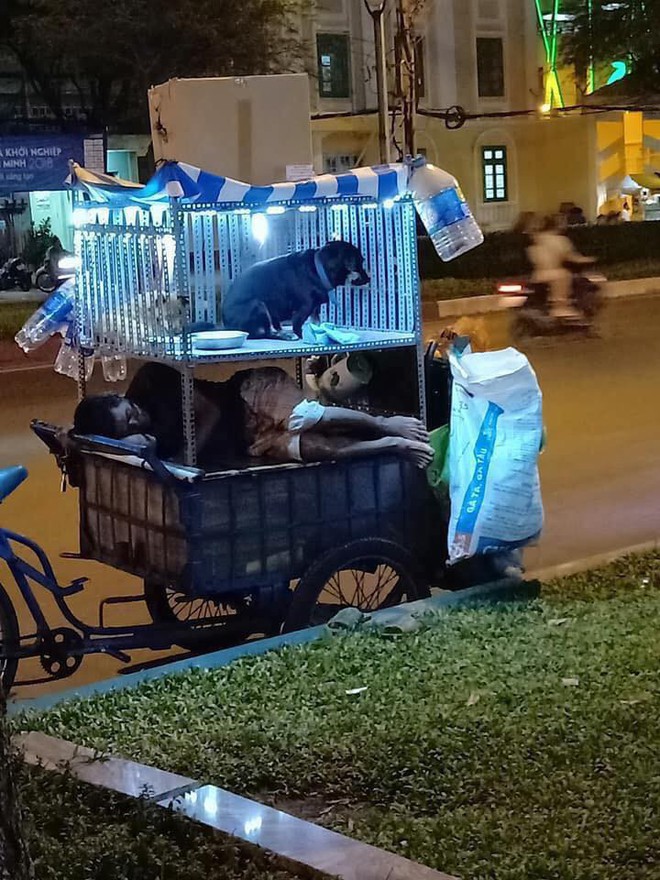 Chiếc xe ve chai trên đường phố Sài Gòn khiến ai đi qua cũng muốn nán lại ngắm nhìn - Ảnh 1.