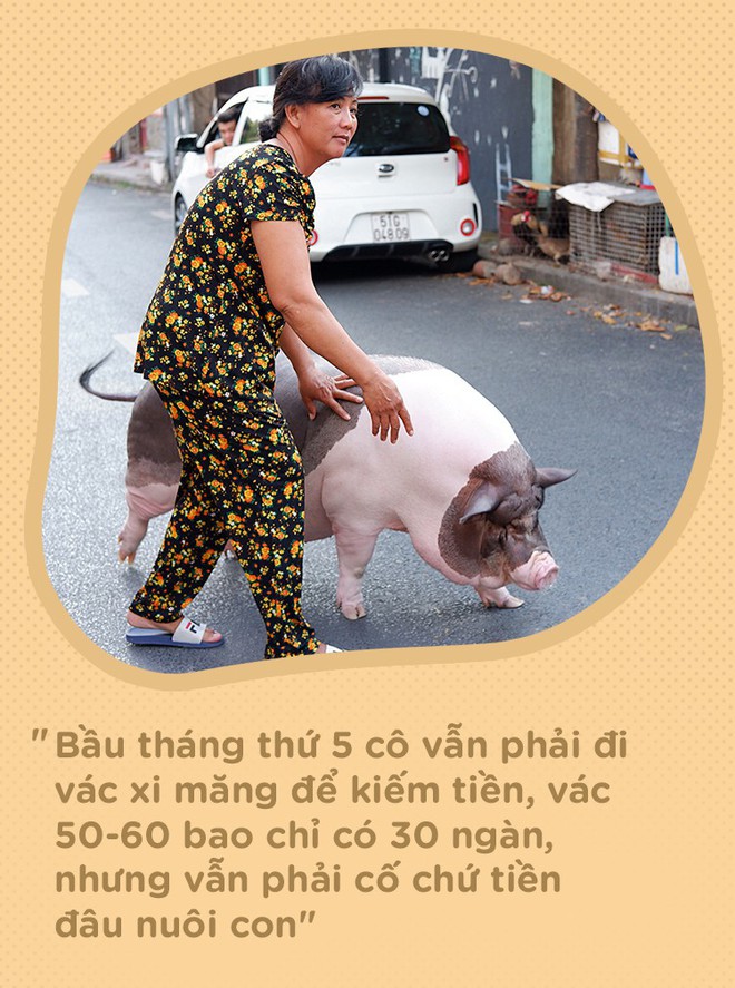 Người mẹ đơn thân ở Sài Gòn nuôi heo 100kg như thú cưng trong nhà: Nó đang giảm cân, con gái con đứa gì mập quá chừng! - Ảnh 11.