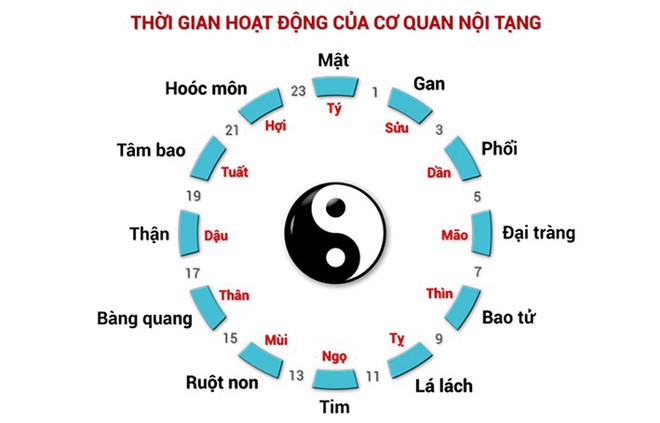 Cơ thể tích tụ quá nhiều chất độc sẽ sinh bệnh nguy hiểm: Đừng bỏ qua 4 cách thải độc này - Ảnh 7.