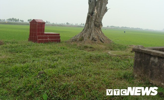Sửng sốt với nghĩa địa mộ thân cây gỗ lim nguyên vẹn từ 3.000 năm trước ở Hưng Yên - Ảnh 4.