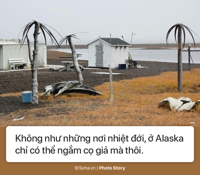 [Photo Story] Những điều kỳ lạ chỉ có ở Alaska, điều số 5 không dành cho người yếu tim - Ảnh 6.