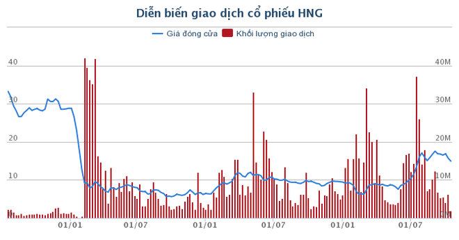 Chính thức “lộ diện” nguyên nhân bầu Đức, Hoàng Anh Gia Lai bị kiện - Ảnh 1.