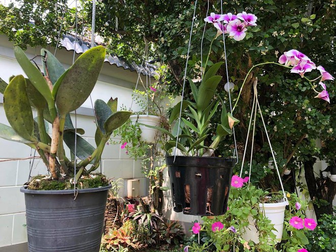Ngắm vườn rau sạch và hoa tươi vô cùng bình yên của vợ chồng nghệ sĩ Hồng Vân và Lê Tuấn Anh - Ảnh 29.