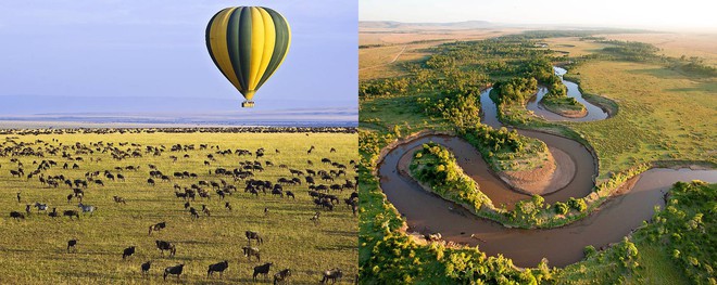 Maasai Mara - đây chính là khu bảo tồn chim rừng tuyệt vời nhất thế giới - Ảnh 1.