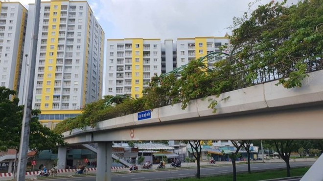 Diện mạo mới chung cư Carina Plaza sau “thảm họa” cháy chết 13 người - Ảnh 15.