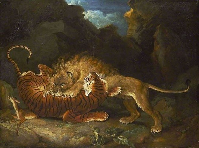Kịch bản của cuộc chiến giữa sư tử và hổ - Ảnh 1.