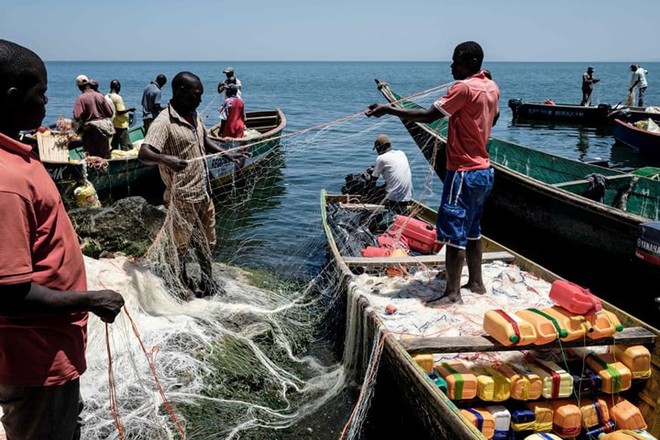 Cuộc sống chật chội ở Migingo - hòn đảo “nghẹt thở” nhất thế giới - Ảnh 2.