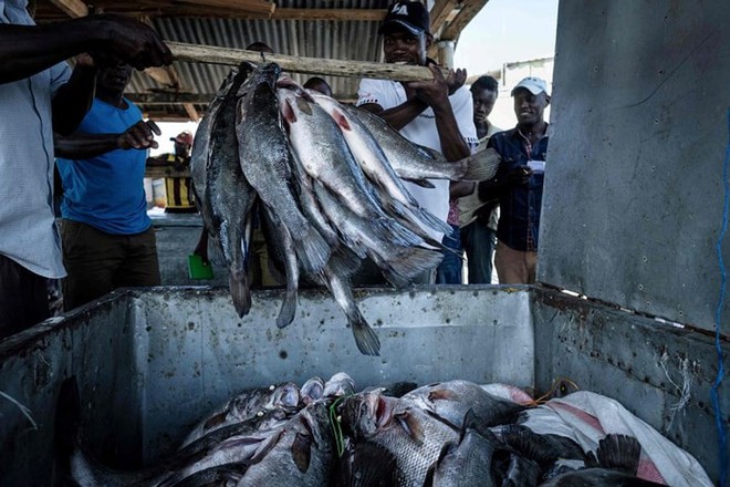 Cuộc sống chật chội ở Migingo - hòn đảo “nghẹt thở” nhất thế giới - Ảnh 4.