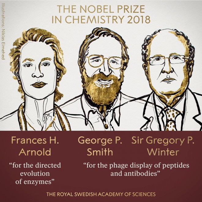 Nobel Hóa học 2018 được trao cho các nhà khoa học điều khiển được quy trình tiến hóa - Ảnh 1.