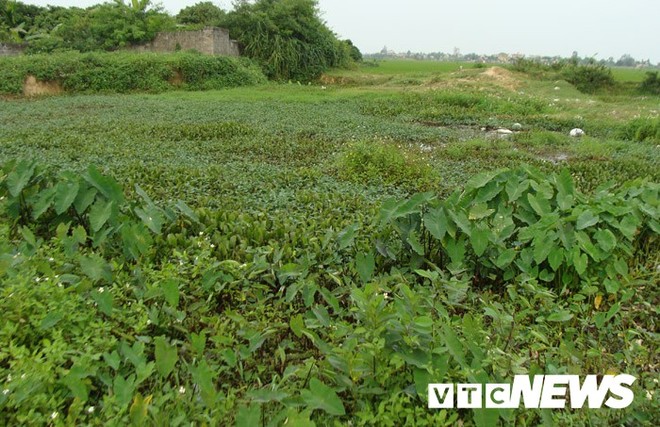 Hành trình tìm kiếm và điều khó tin về ‘cung điện cõi âm’ dưới lòng đất Hải Dương - Ảnh 8.