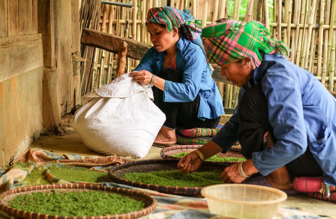 Đốn tim vẻ hư ảo mùa vàng ruộng bậc thang Tú Lệ - Ảnh 14.