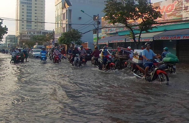 Triều cường dâng cao, cá bơi trên đường ở Cần Thơ - Ảnh 2.