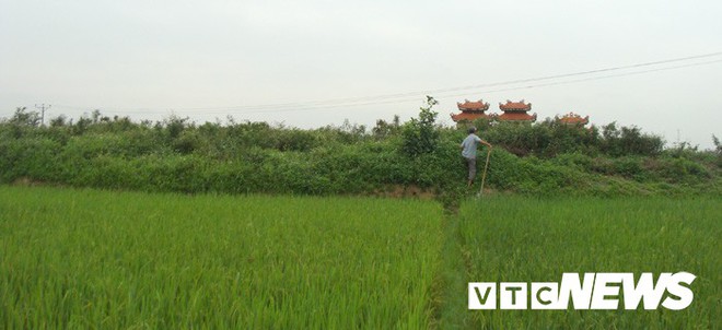 Thoải mái tàn phá nghĩa địa mộ cổ khổng lồ chứa cả tấn báu vật ở Hải Dương - Ảnh 1.