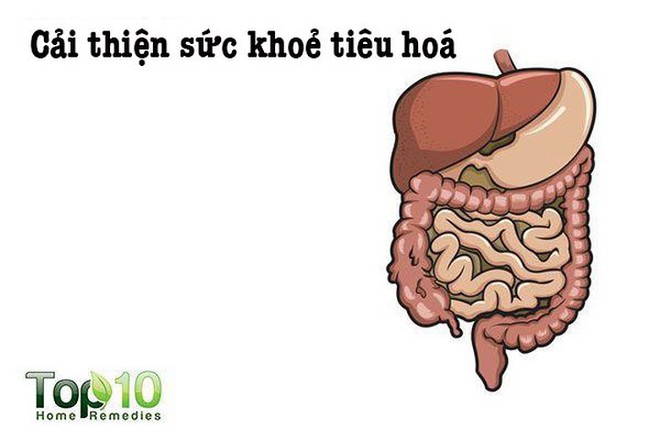 Phát hiện bất ngờ về tác dụng của hạt đu đủ ít được nói đến - Ảnh 1.