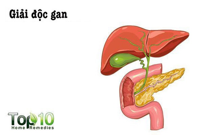 Phát hiện bất ngờ về tác dụng của hạt đu đủ ít được nói đến - Ảnh 5.