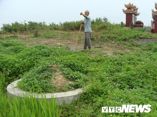 Thoải mái tàn phá nghĩa địa mộ cổ khổng lồ chứa cả tấn báu vật ở Hải Dương - Ảnh 8.