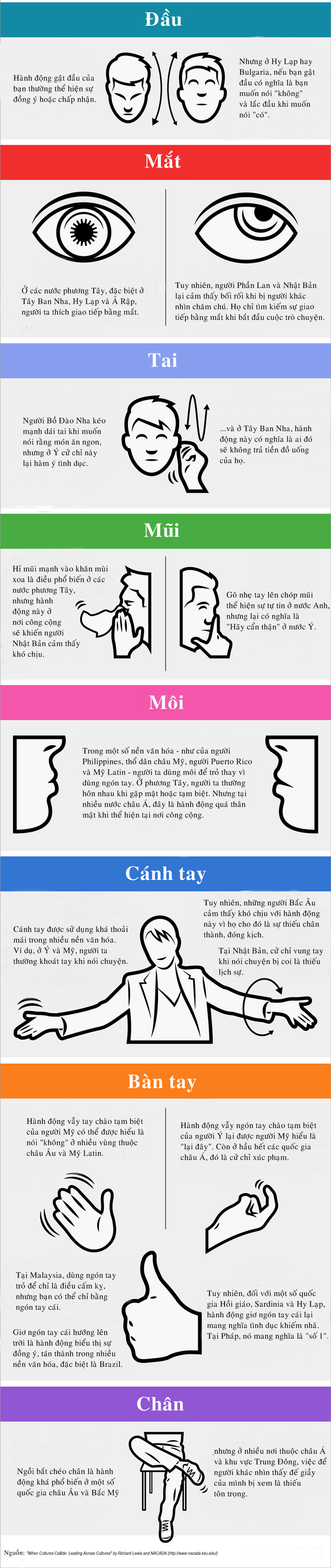 [Infographic] Ngôn ngữ cơ thể khác nhau như thế nào giữa các nền văn hóa - Ảnh 1.