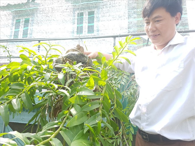 Hà Tĩnh: Thầy giáo dạy sinh học trường làng sở hữu vườn lan tiền tỷ - Ảnh 3.